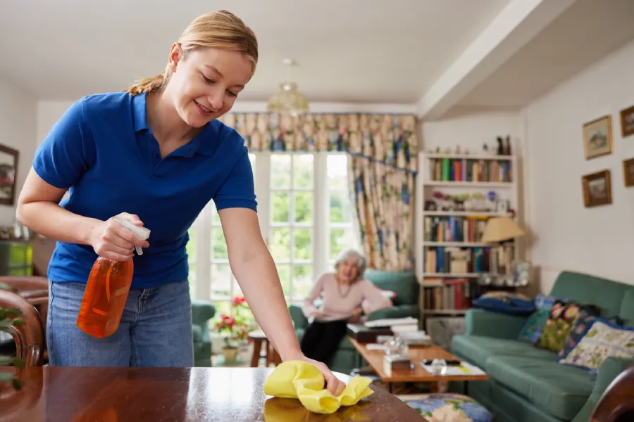 Move-In Cleaning Services
            